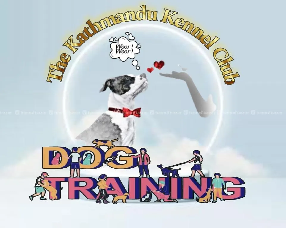Dog Training 2