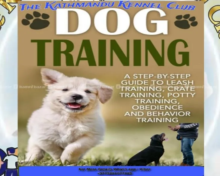 Dog Training 1