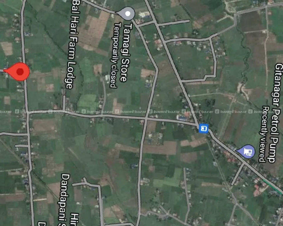 Image 6