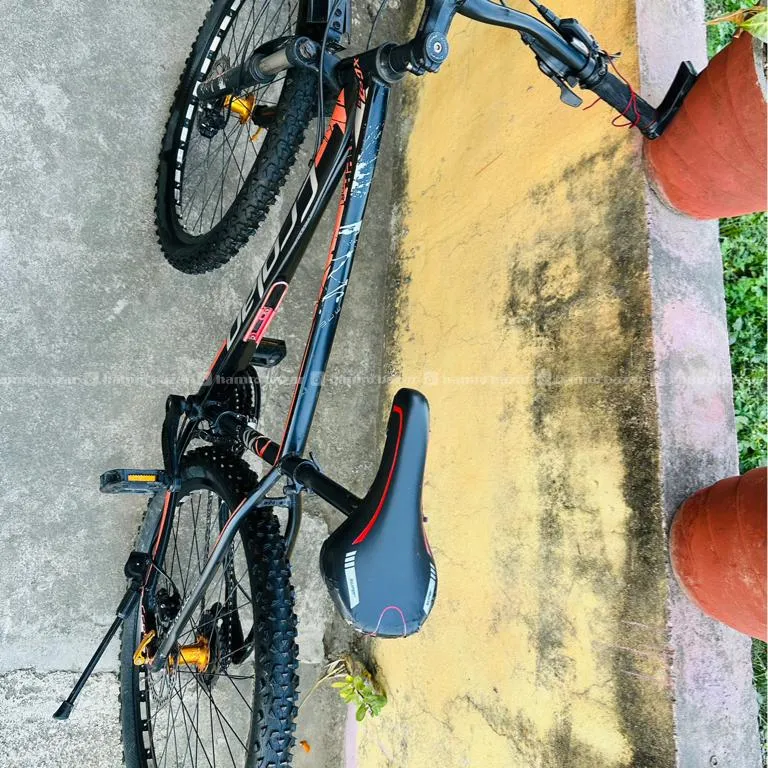 Image 5
