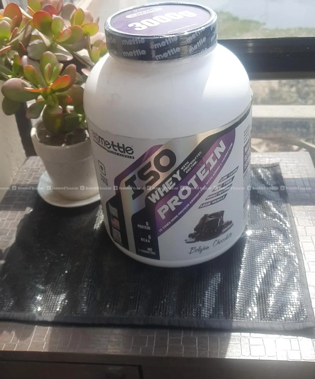 ISO Certified Whey Protein Powder 1