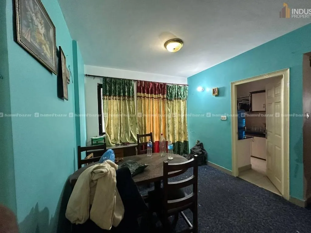 Image 7