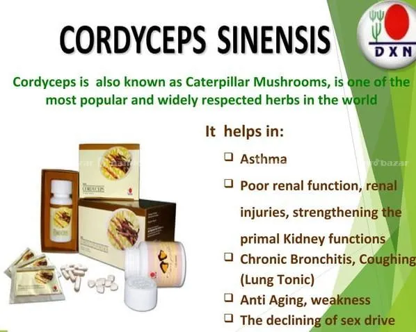 Cordyceps Cofee 3