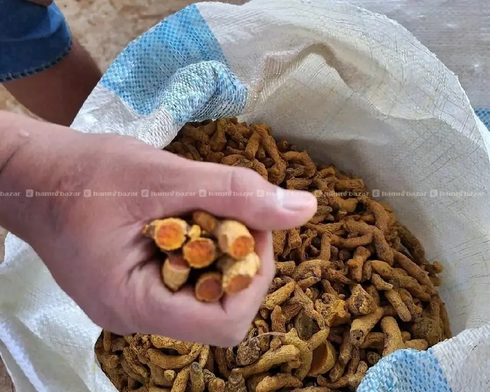 Turmeric 100% Pure (Besar selling) 3