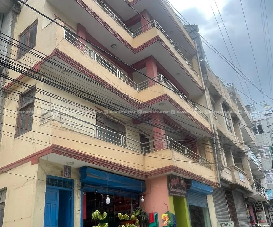 Image 5