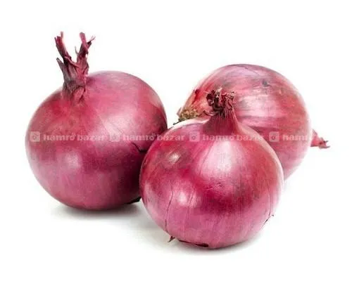 Onion (प्याज ) Wholesale Cheap Price available.