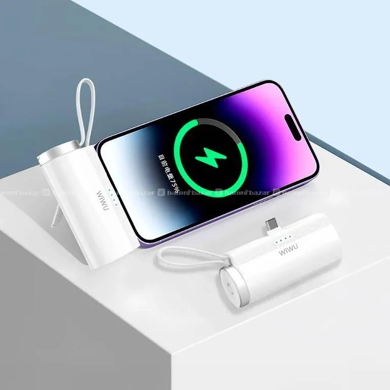 Wiwu Capsule Power Bank | For Type-C Mobiles | Mod 3