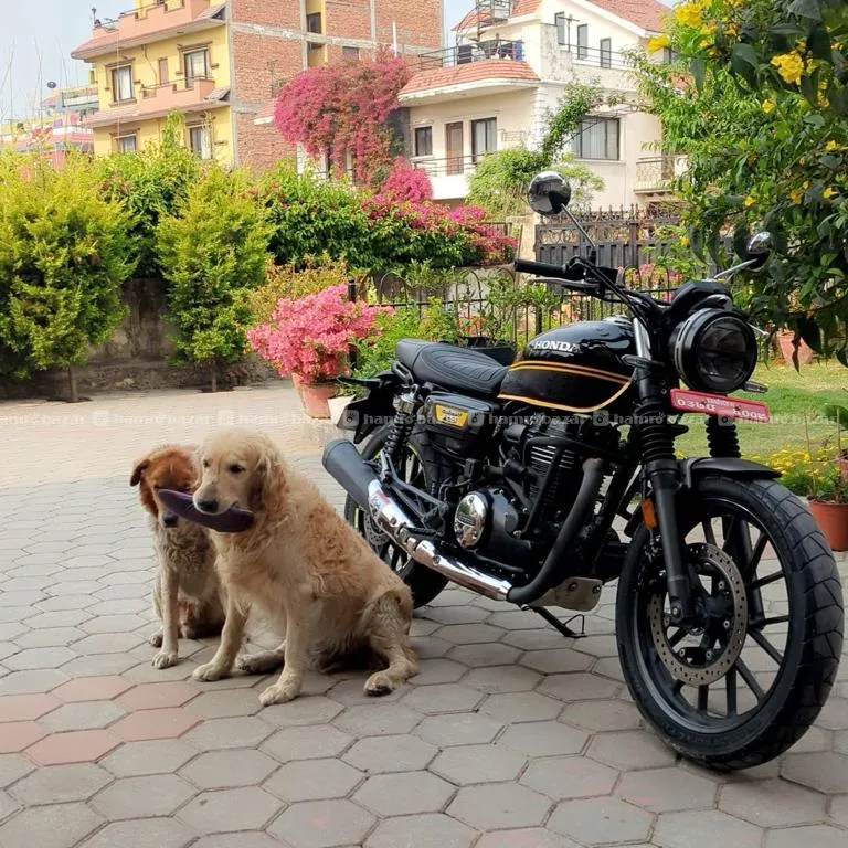 Cb350rs For Sale