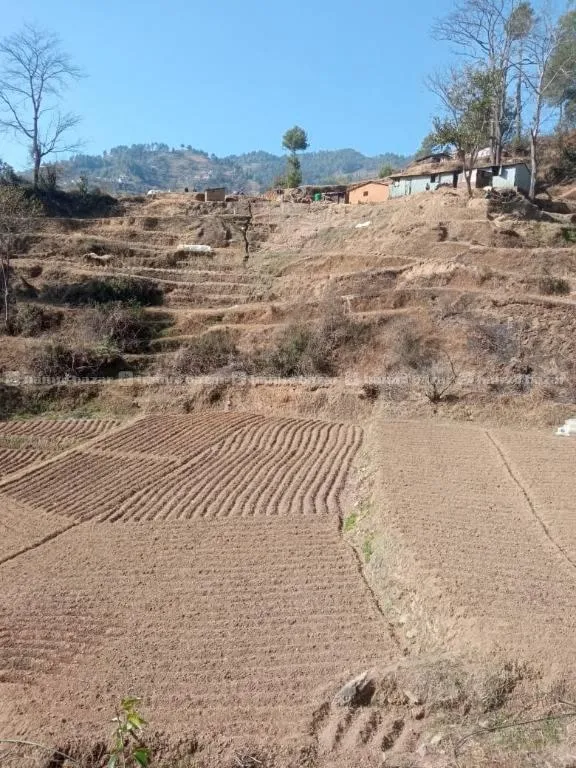 Tistung 12 ropani near Om Adhyay Resort 2