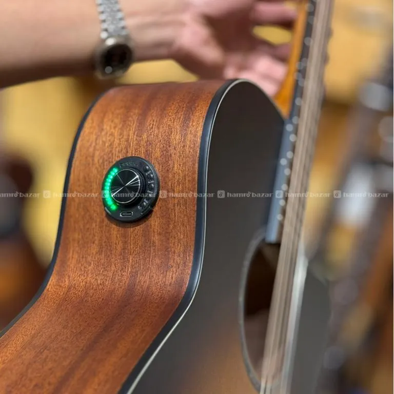 Livingston V1MR SOLID TOP ACOUSTIC GUITAR 2