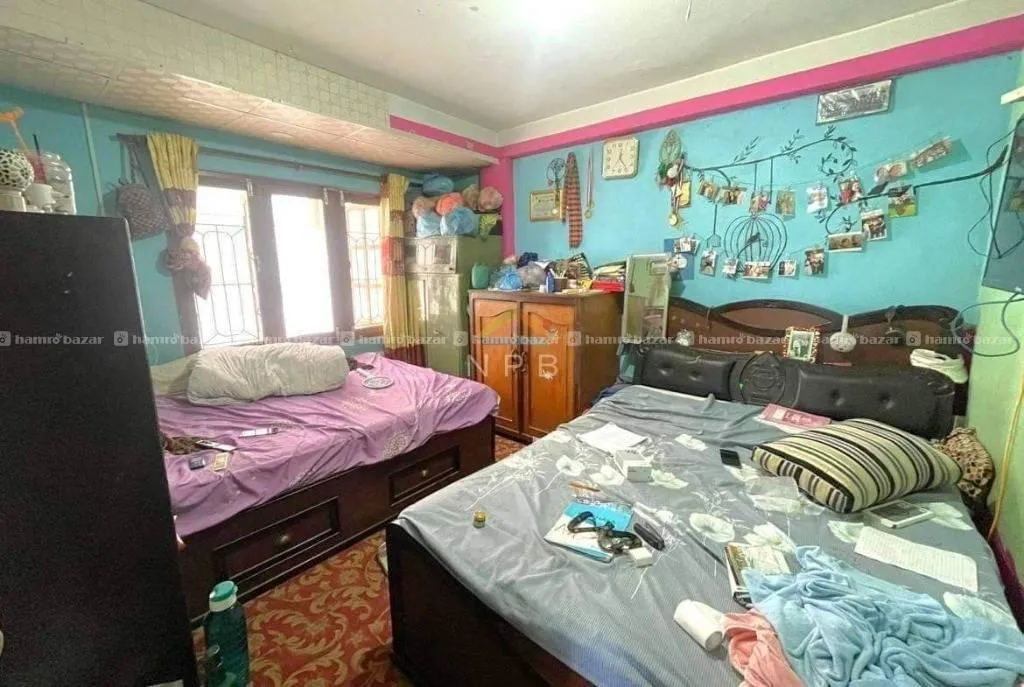 Image 7