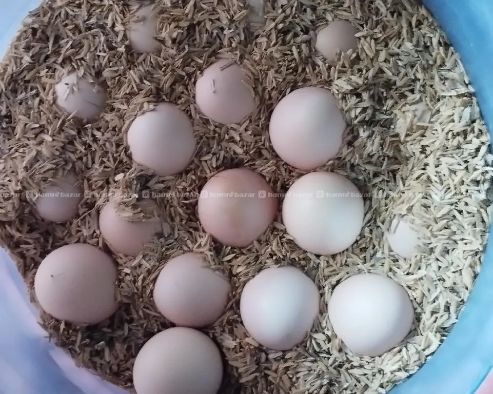 local egg per Rs 25/- 2