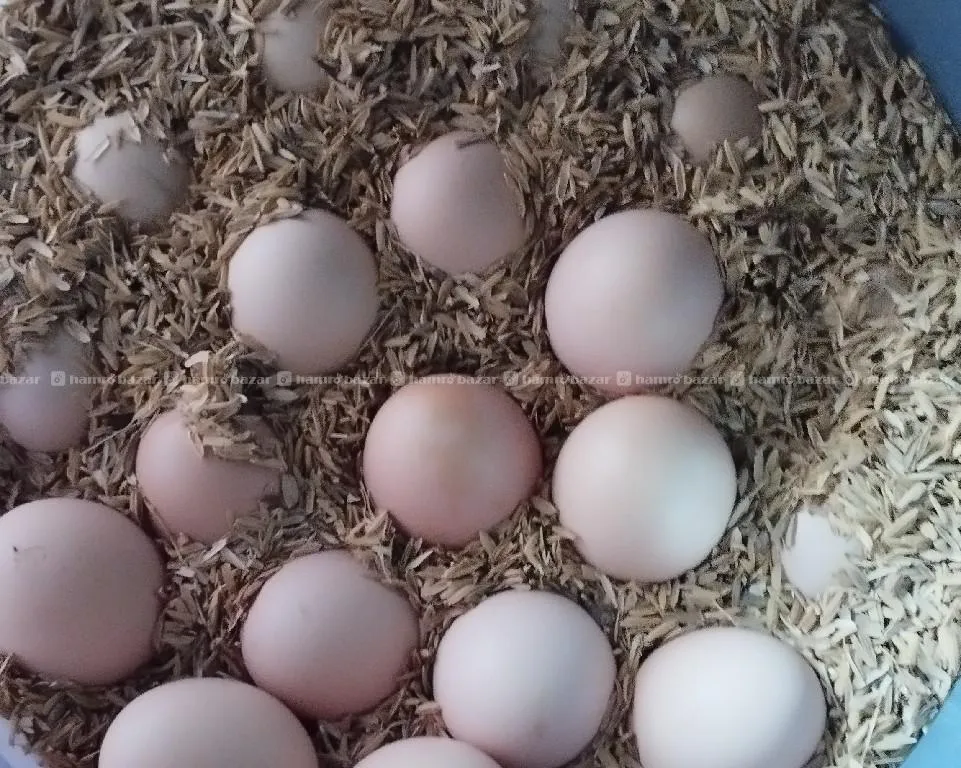local egg per Rs 25/- 3