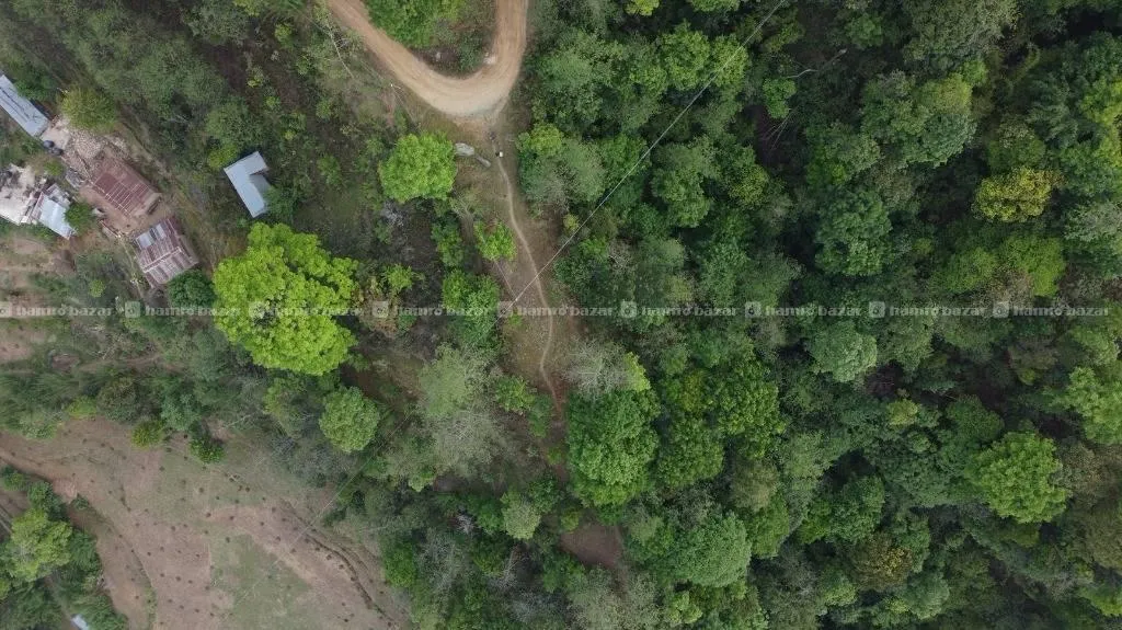 Land for Sale at Namobuddha