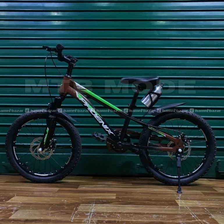 20' Inch Phoenix Bicycle For Kids 2