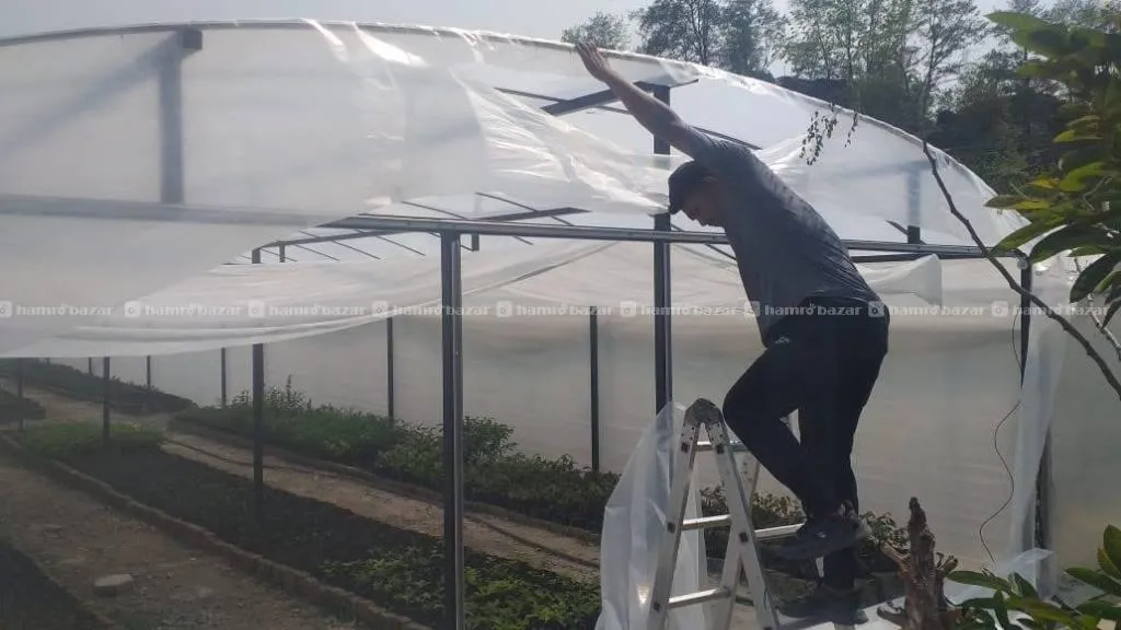 Green House Construction 6m*12m 3