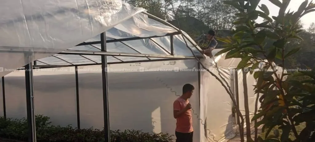 Green House Construction 6m*12m 2