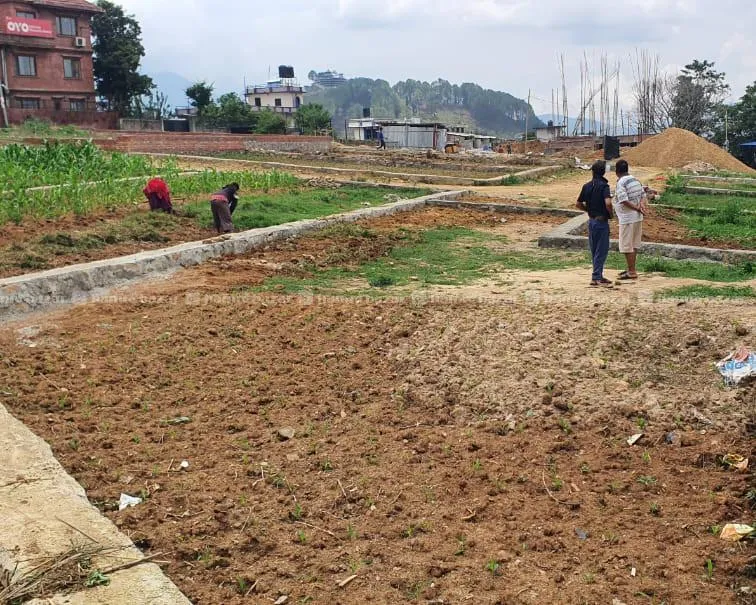 Land Sale Taukhel Godawari 5 anna near GVR 2