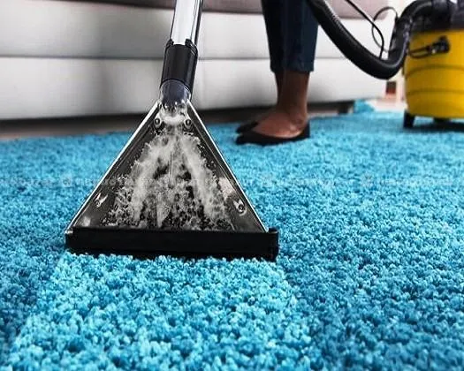 Carpet cleaning service