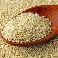 Organic Generic Poppy Seeds Khaskhas / Khas Khas 4