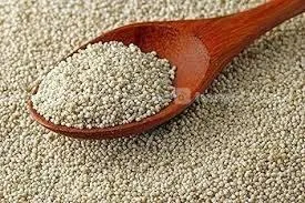 Organic Generic Poppy Seeds Khaskhas / Khas Khas 3
