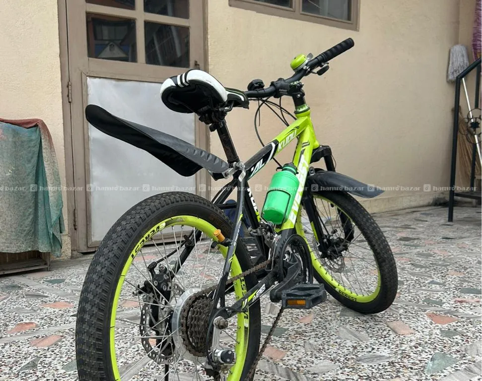 Everest Mountain Bike (for Young) 2