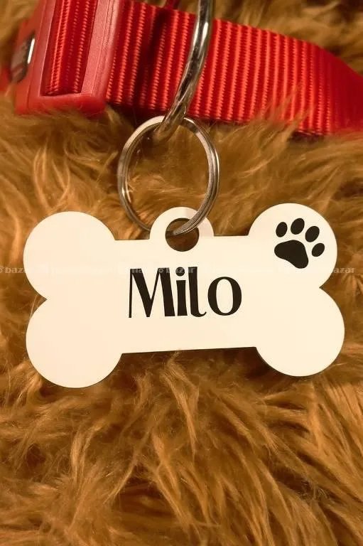 Dog name batch 2