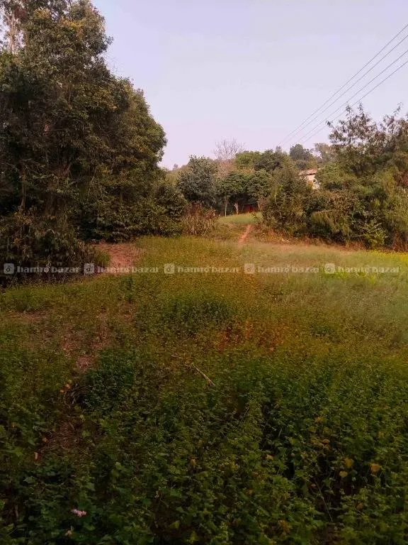 Palpa Land Highway Touch 3