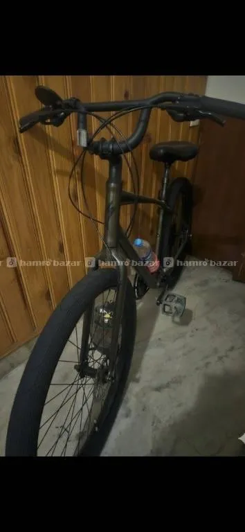 Meet the roll specialized