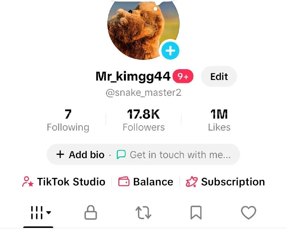 Tiktok Account on sale...