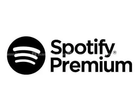 Spotify Premium For 3 Months