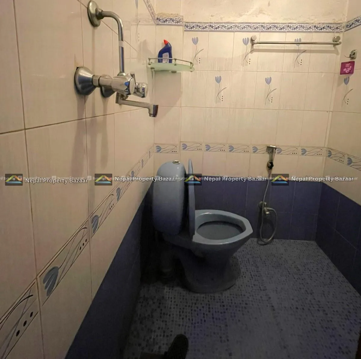 Image 6