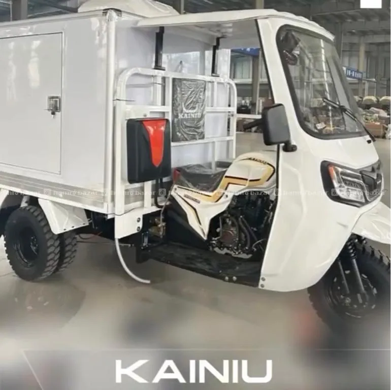 Cold Storage vehicle (3-wheel)