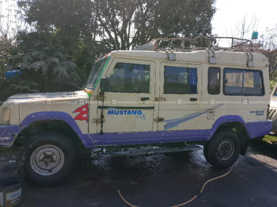 Hulas Mustang Jeep 2