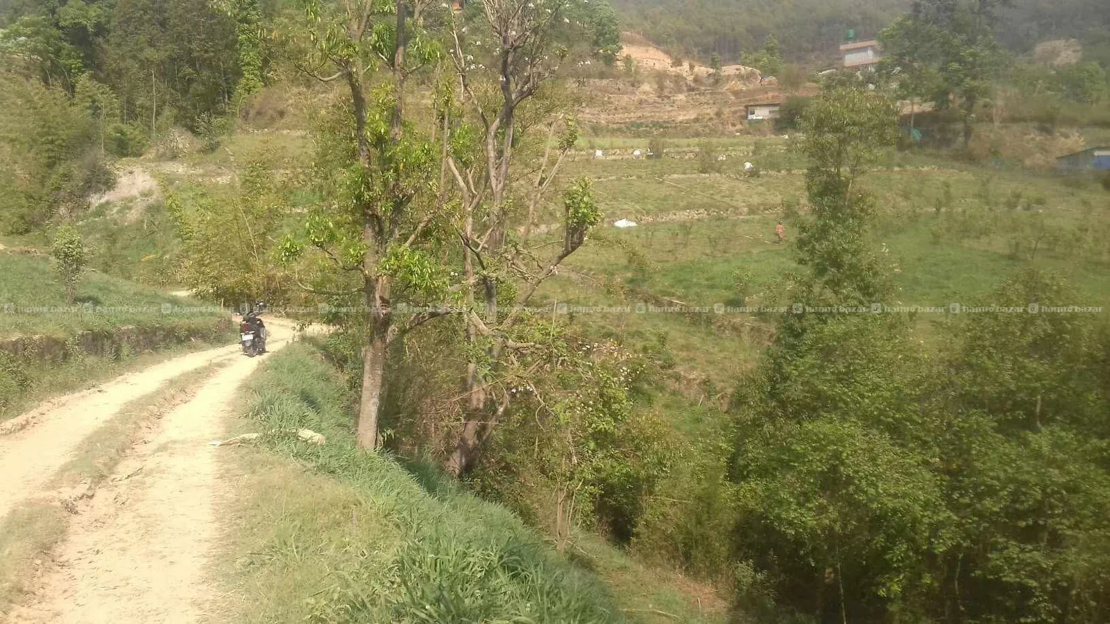 LAND ON SALE IN OFFER PRICE! FOR LIMITED TIME !!!