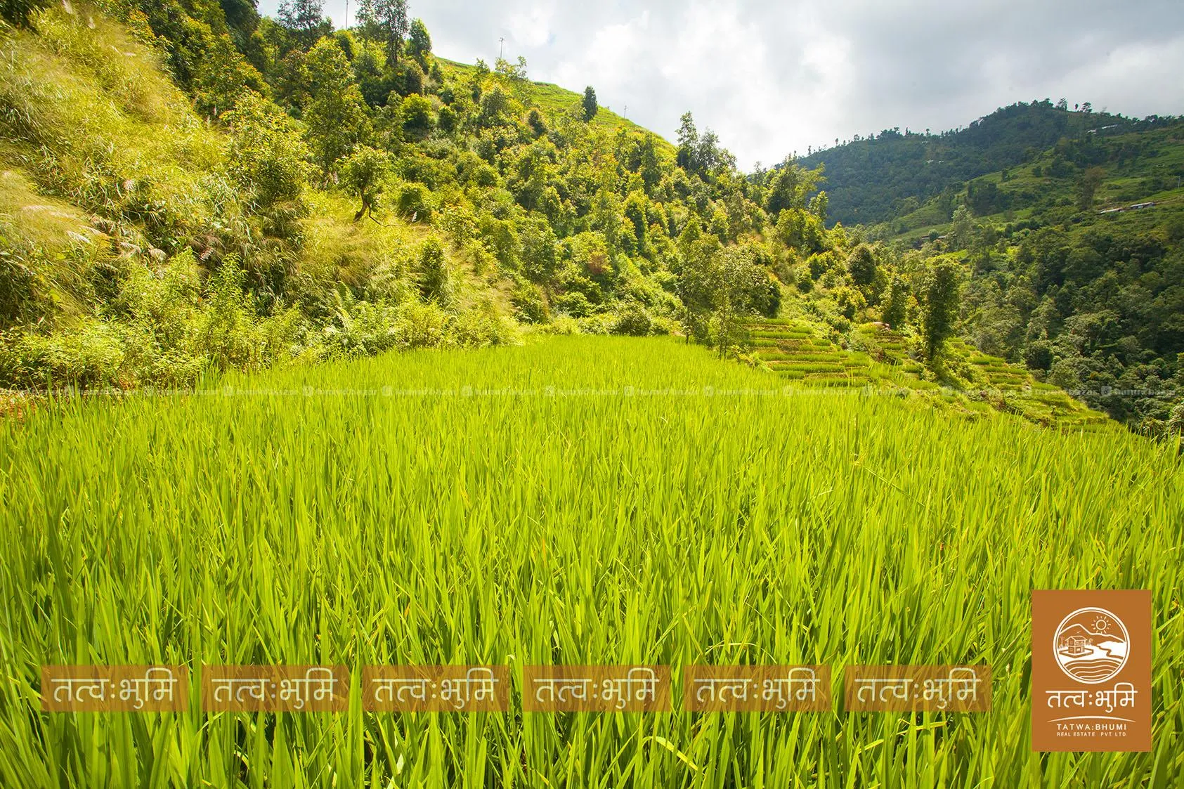 10 Ropani land for sale in Thansingh - Nuwakot.