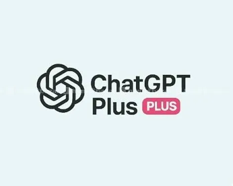 Chatgpt Subscription 2