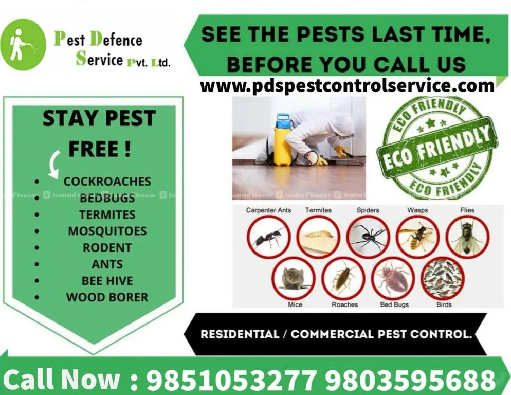 Pest Control Service 3
