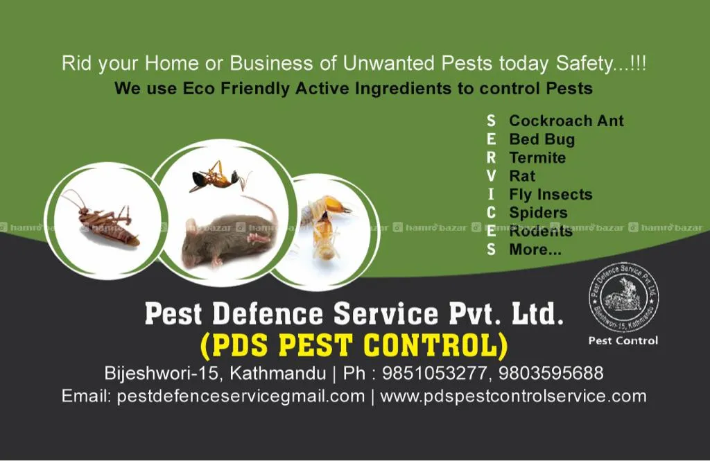 Pest Control Service 2