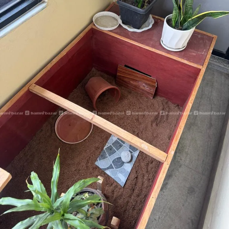 Enclosure For Guinea Pigs, Hamster, Rabbit. etc