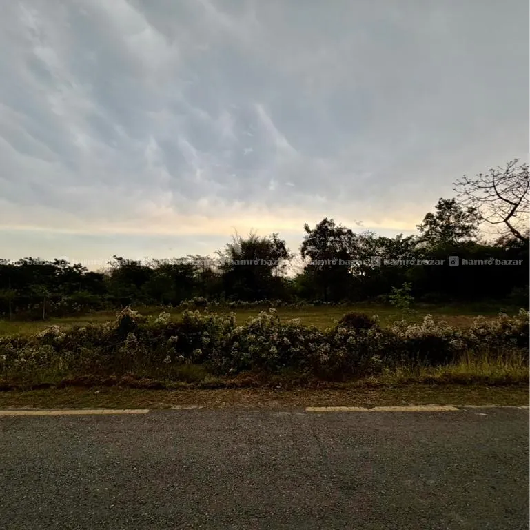 Land For Sale At Patihani Chitwan 2