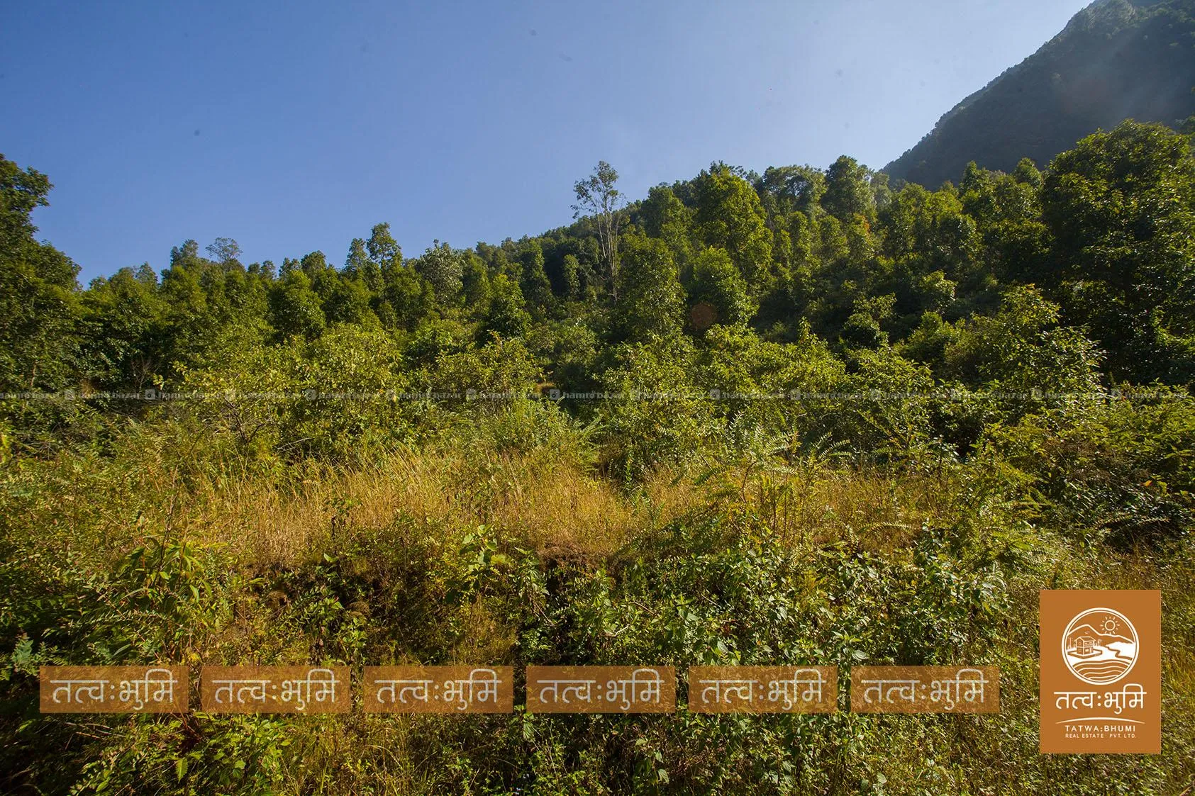 100 Ropani land for sale in Nagidanda -Nuwakot