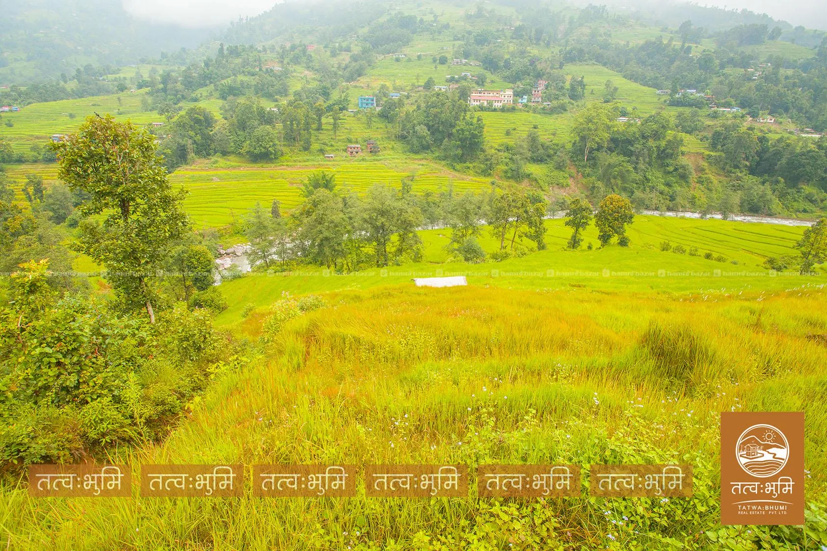 7 Ropani land for sale in Kundala - Nuwakot.