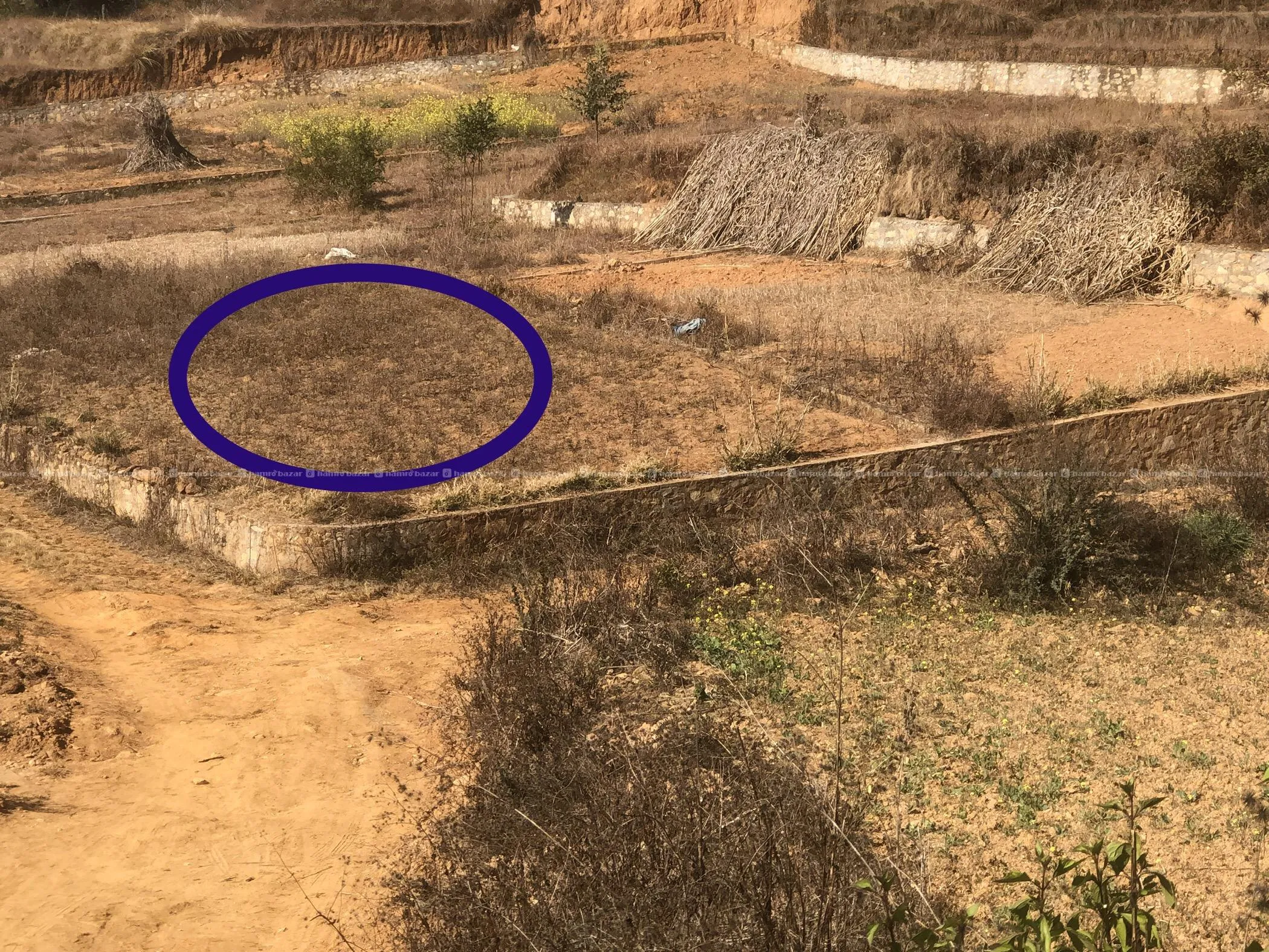 Land sale in Lele Lalitpur