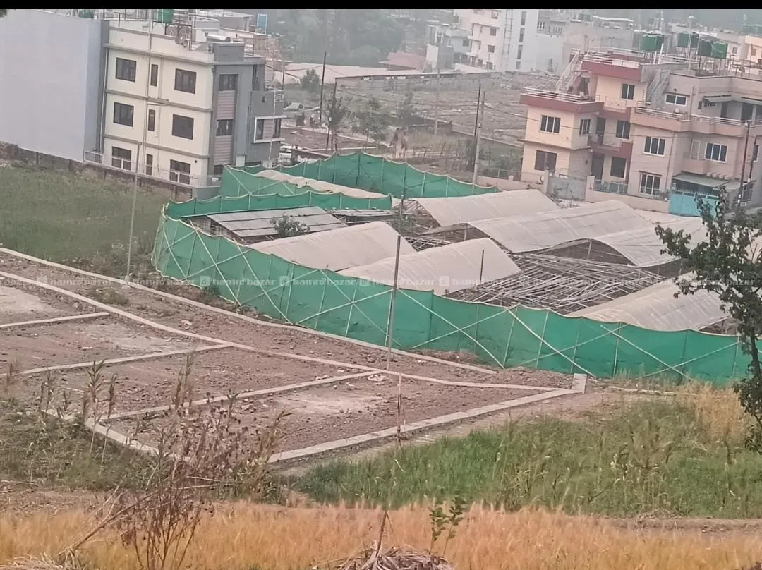 land sale at machhegau