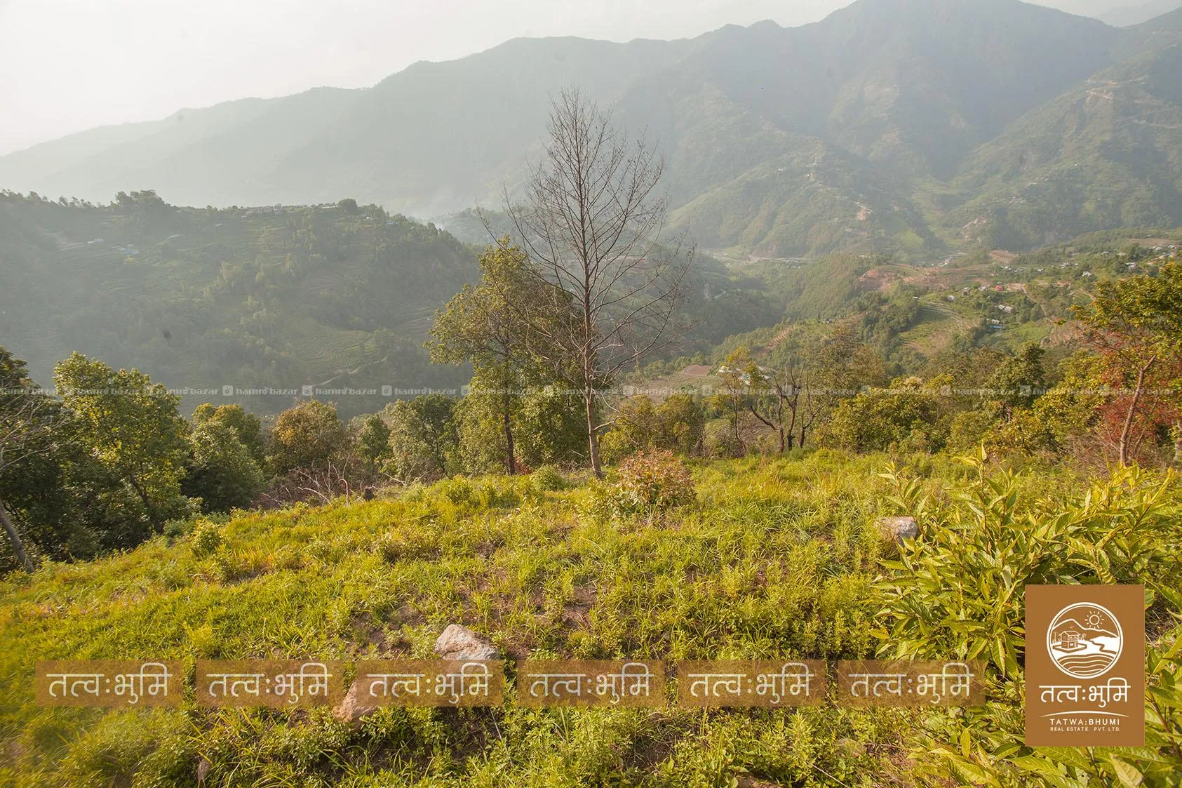 4 Ropani land for sale in Pudibhanjayag- Nuwakot.