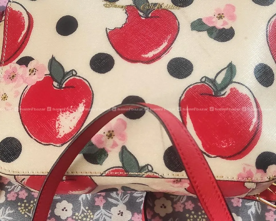 Image 4