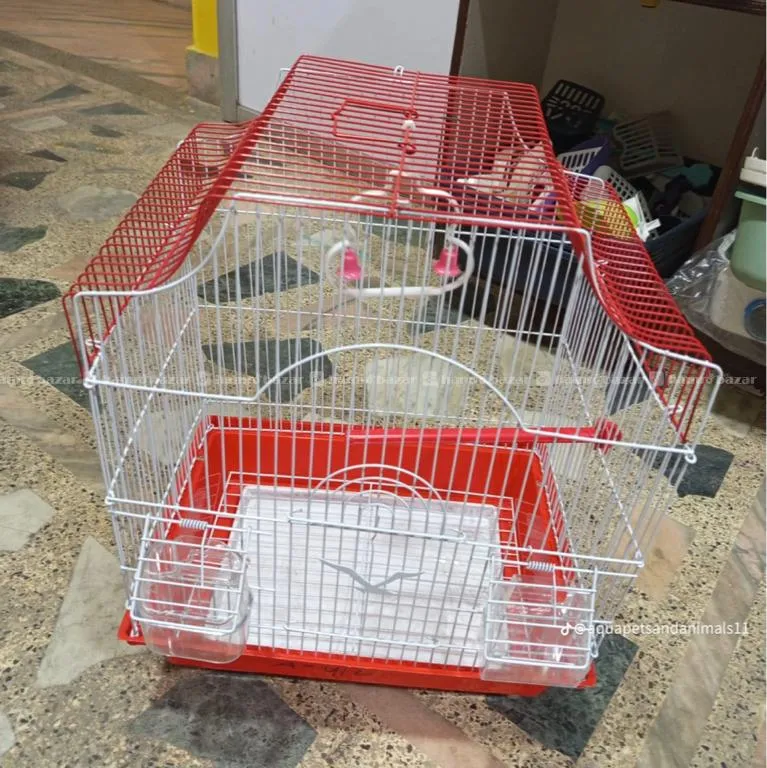 Image 6