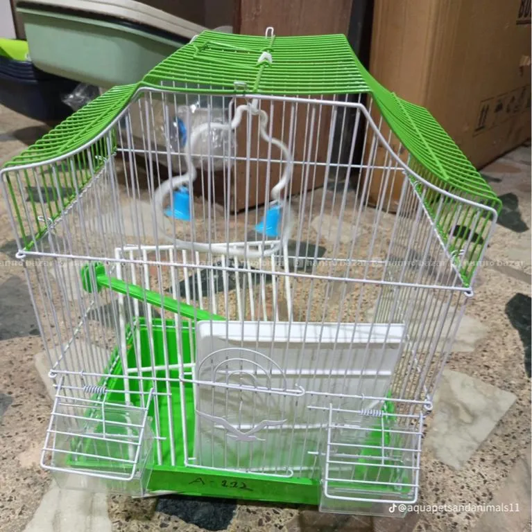 Image 4