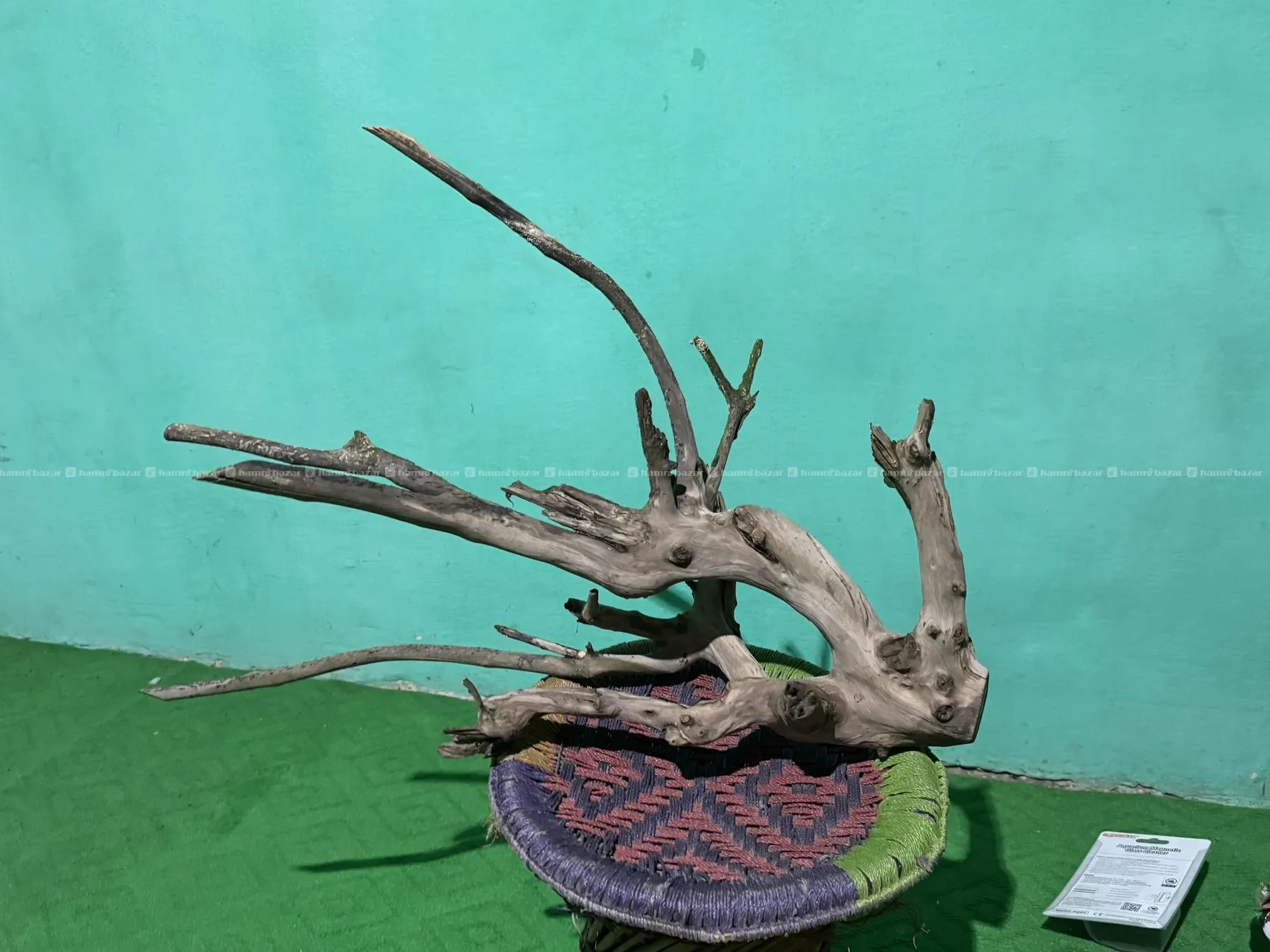 Image 2